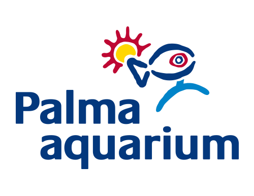 palma aquarium